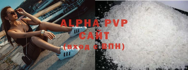 стаф Алзамай