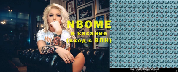 гашик Пестово