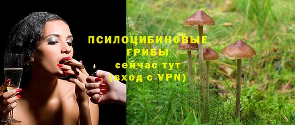 гашик Пестово