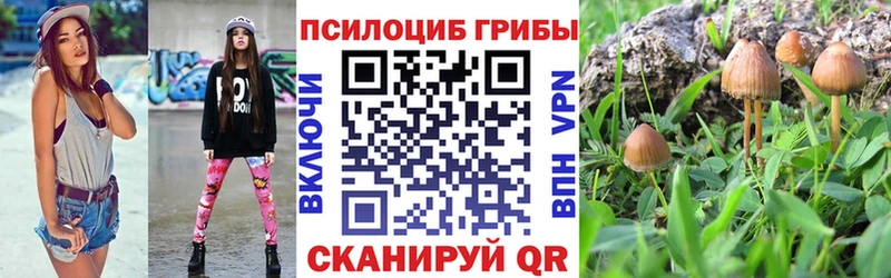 даркнет сайт Новоузенск мега маркетплейс Галлюциногенные грибы Psilocybe